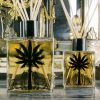 Ortigia Sicilia - Difuzér Fico d'India 200ml Palma - fico d'india